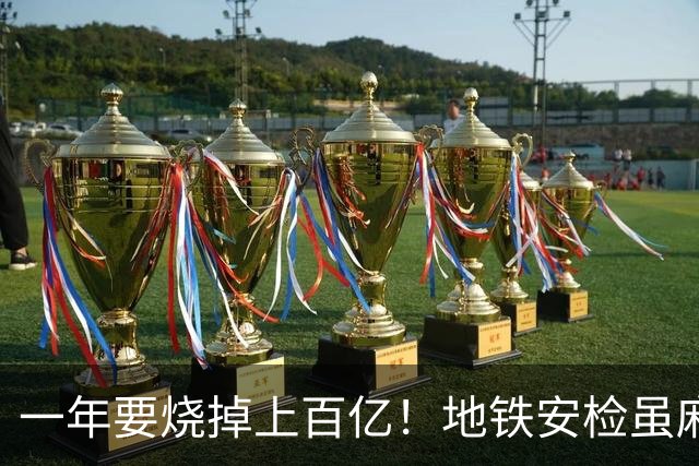 一年要烧掉上百亿！地铁安检虽麻烦，但是却养活几十万人就业