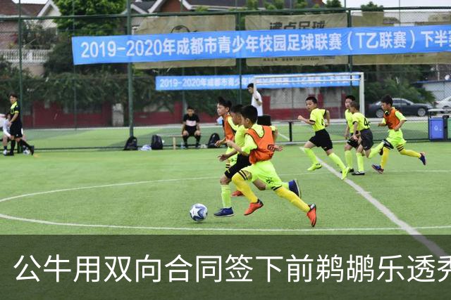 公牛用双向合同签下前鹈鹕乐透秀，他还能重新证明自己吗？