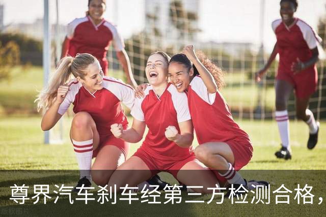 尊界汽车刹车经第三方检测合格，“懂车帝”要承担法律责任吗？