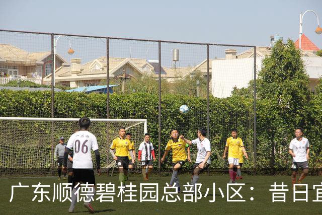 广东顺德碧桂园总部小区：昔日宜居胜地，如今现状堪忧有感