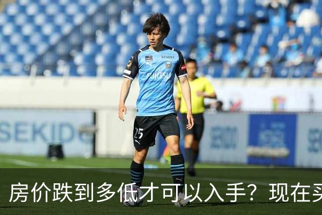 房价跌到多低才可以入手？现在买房子，是“聪明”还是“愚蠢”？