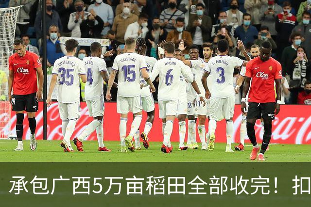 承包广西5万亩稻田全部收完！扣完成本，最终得到的利益是多少呢