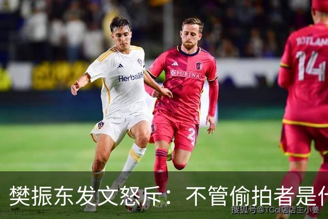 樊振东发文怒斥：不管偷拍者是什么目的，都无法改变侵犯他人隐私的本质