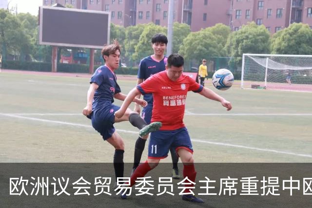 欧洲议会贸易委员会主席重提中欧贸易协定：我们需要一份更全面协议，有必要重温一下