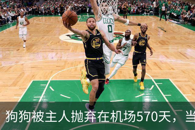 狗狗被主人抛弃在机场570天，当主人回来接它时，看哭了所有人