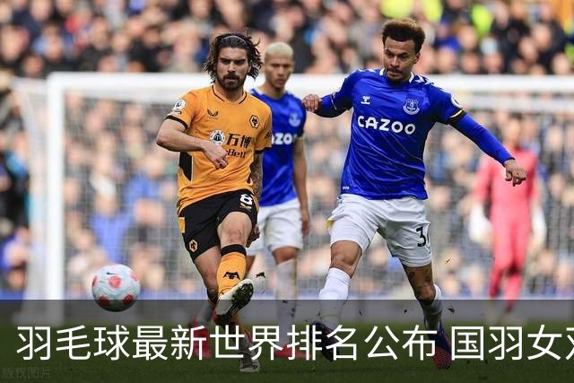 羽毛球最新世界排名公布 国羽女双混双继续位居榜首