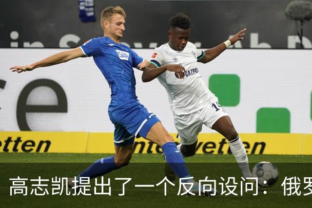 高志凯提出了一个反向设问：俄罗斯既然觉得经蒙古向中国输气是一条好路，也可以让俄气先进入中国，再借中国管网送往印度，印度愿意吗？